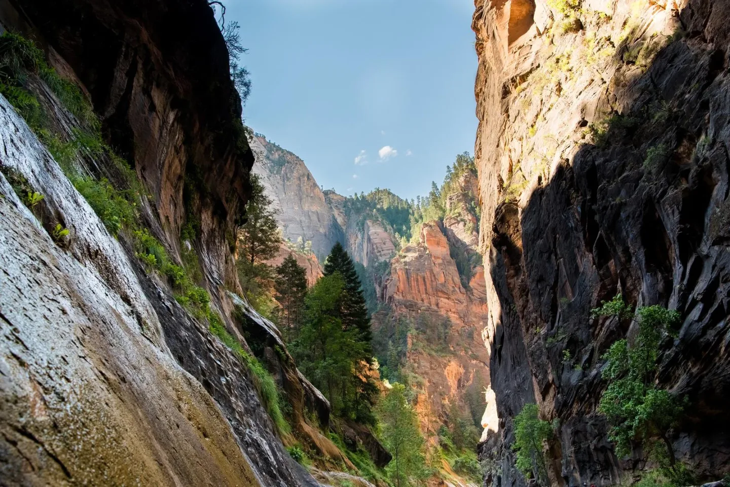 zion hiking trails