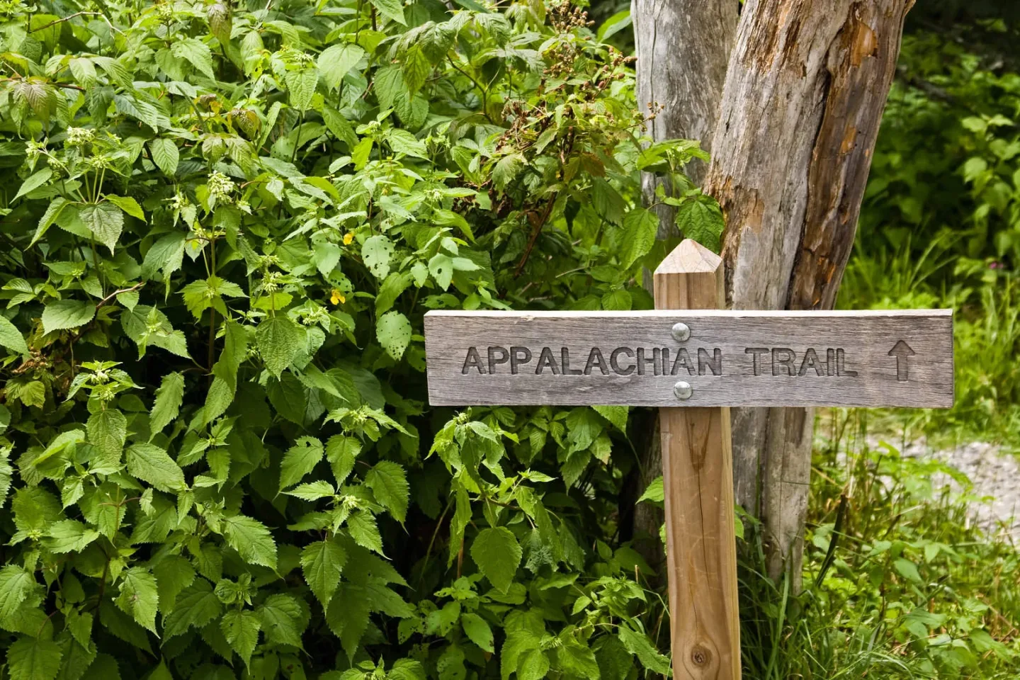 appalachian trail sign