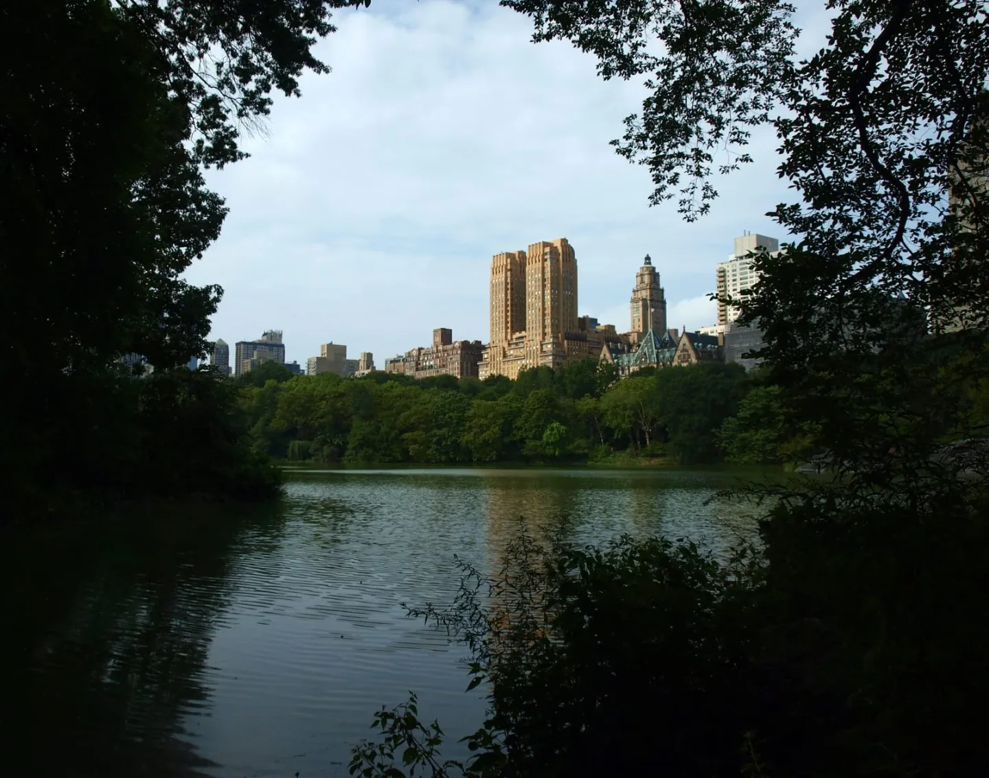 central park with walking trails