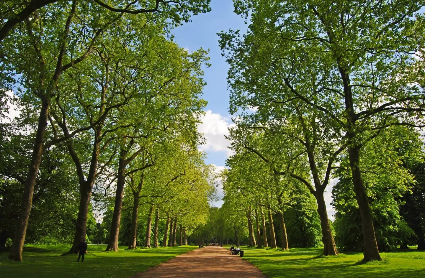 kensington gardens park with walking trails