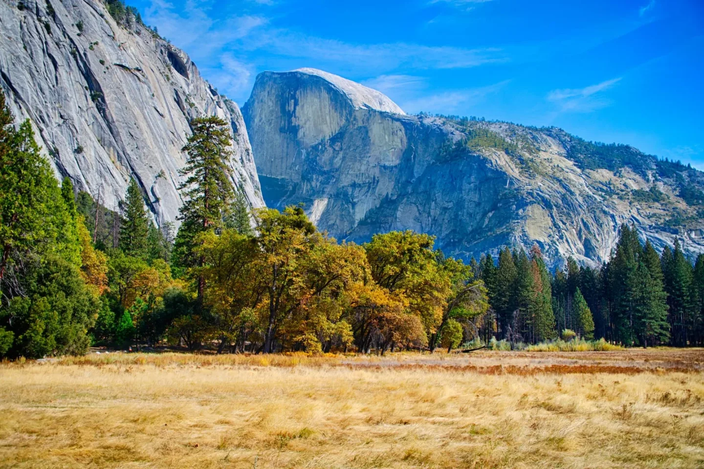 yosemite national park with walking trails