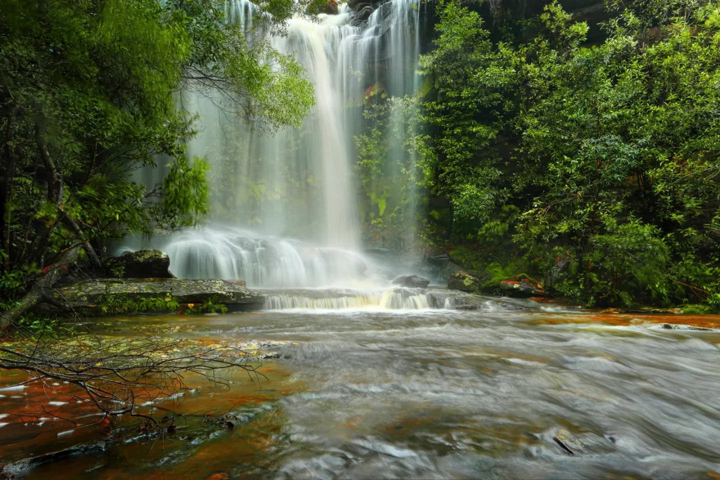 royal national park with walking trails