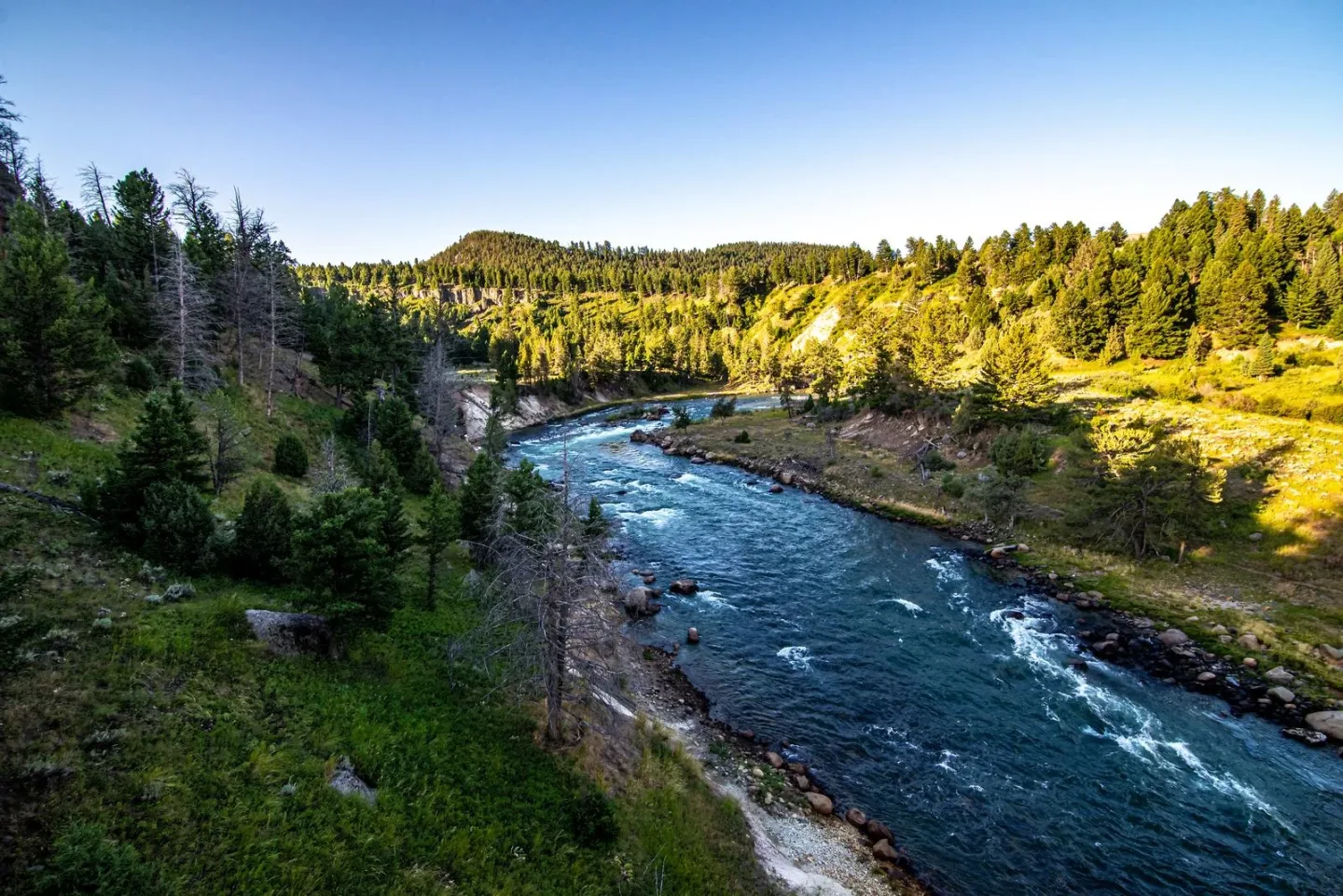 yellowstone national park with walking trails
