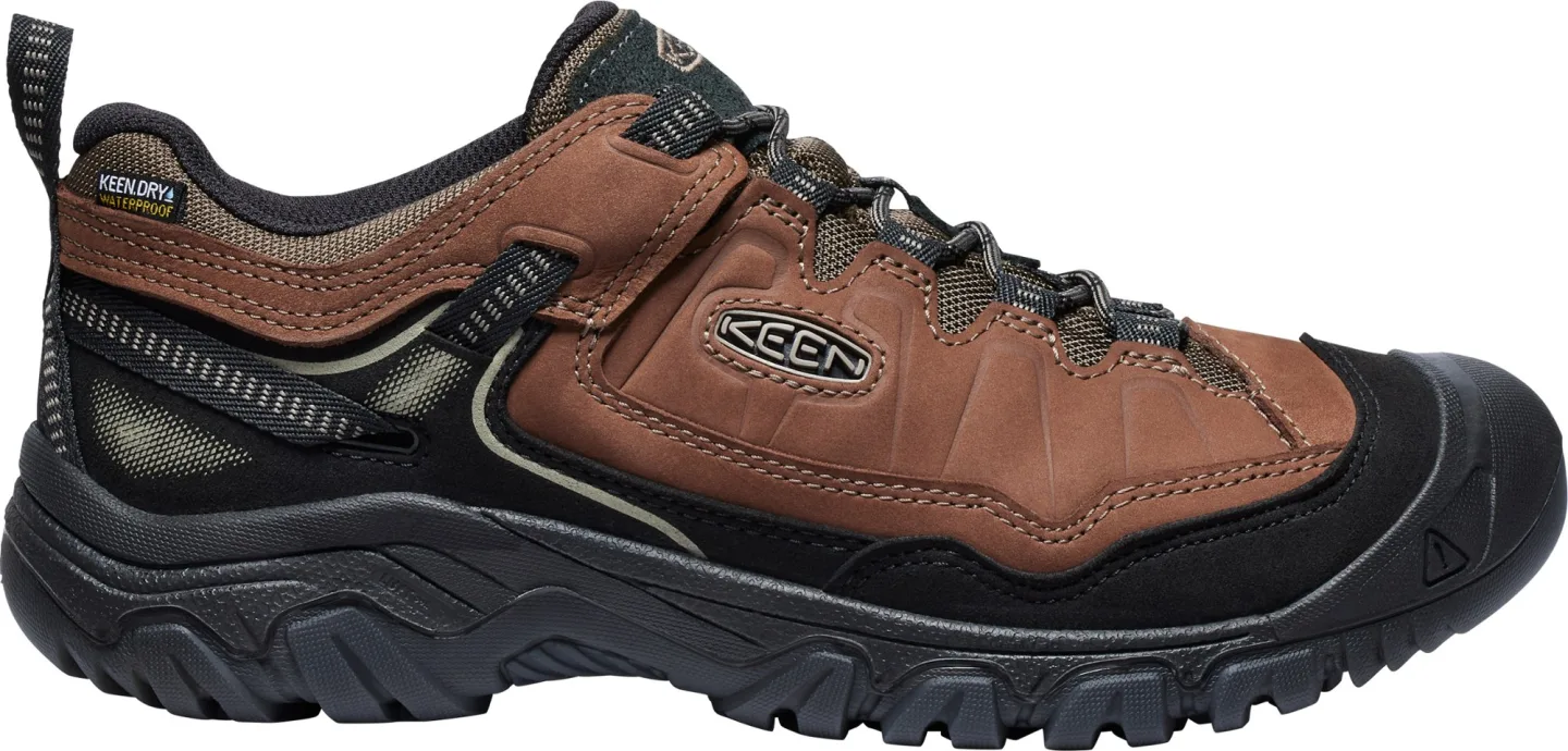 Targhee IV Waterproof Hiking Shoes