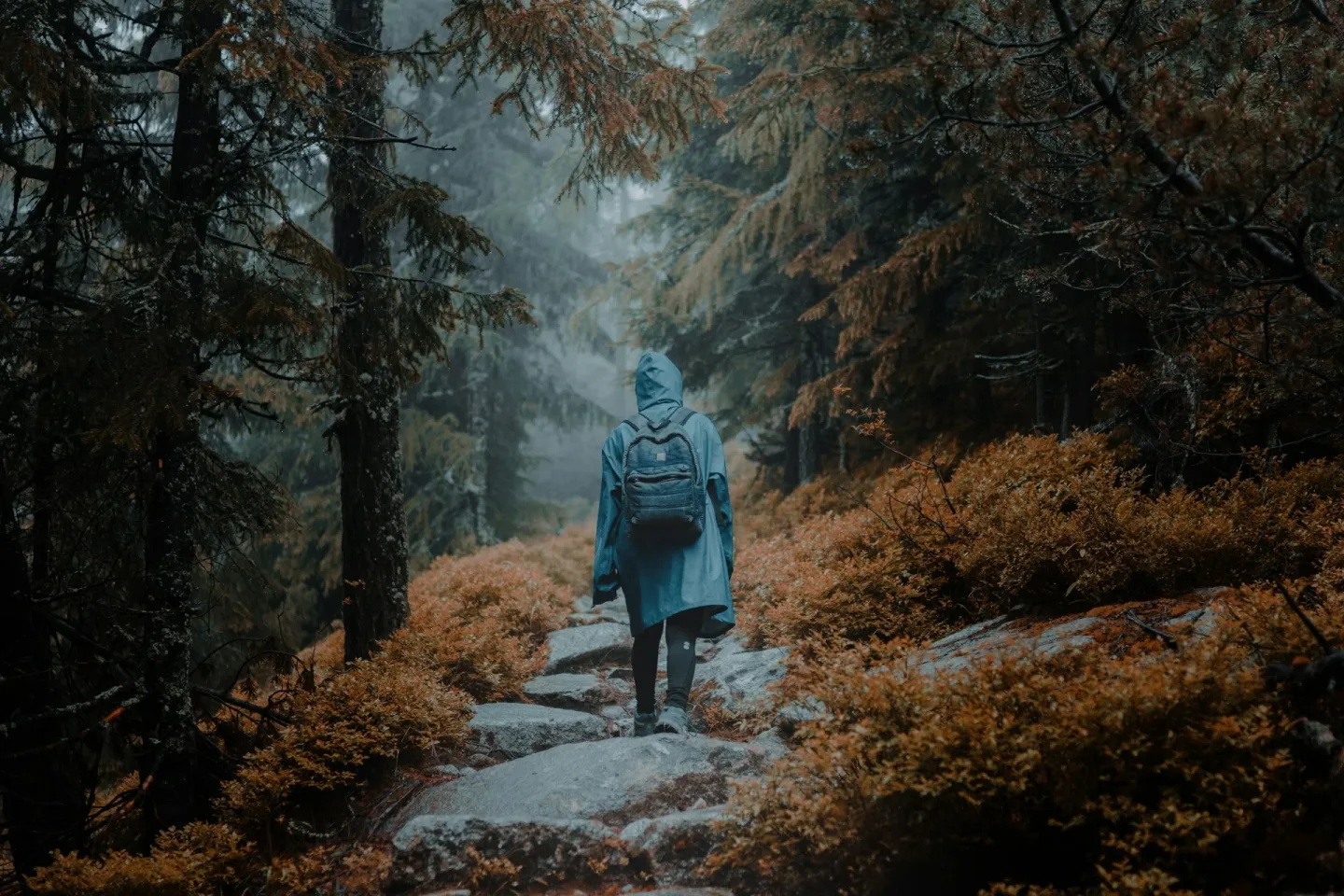 woman wearing rain jacket