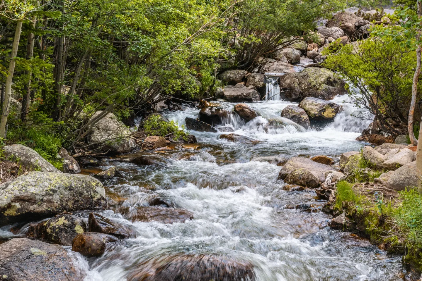 alberta falls