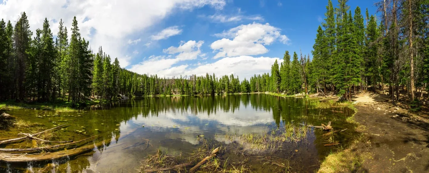 lily lake loop