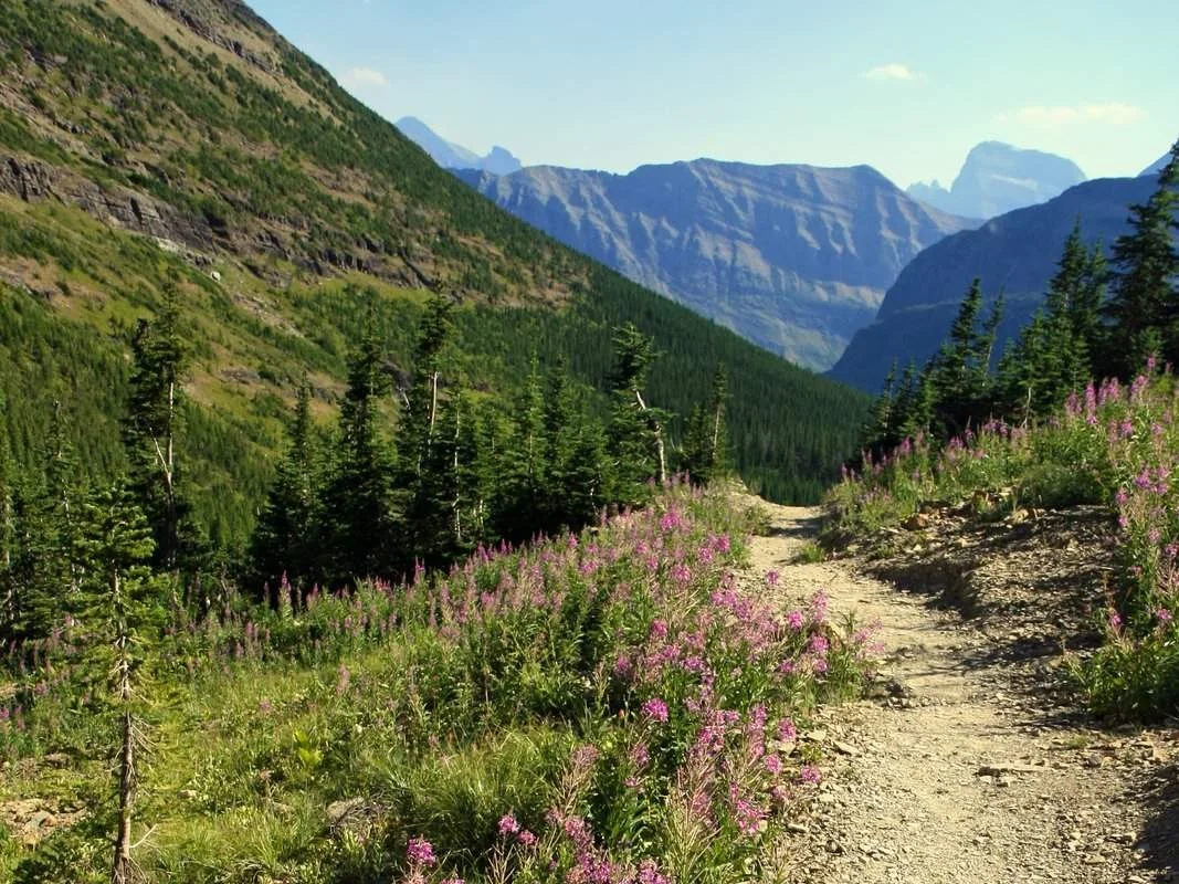 ptarmigan tunnel trail